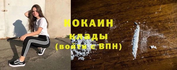 дживик Алзамай