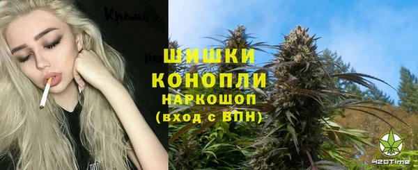 дживик Алзамай